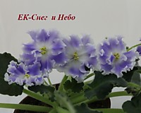 ЕК- Снег и Небо