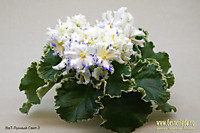 ВаТ-Лунный Свет 2.