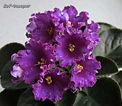 ВаТ-Фаворит